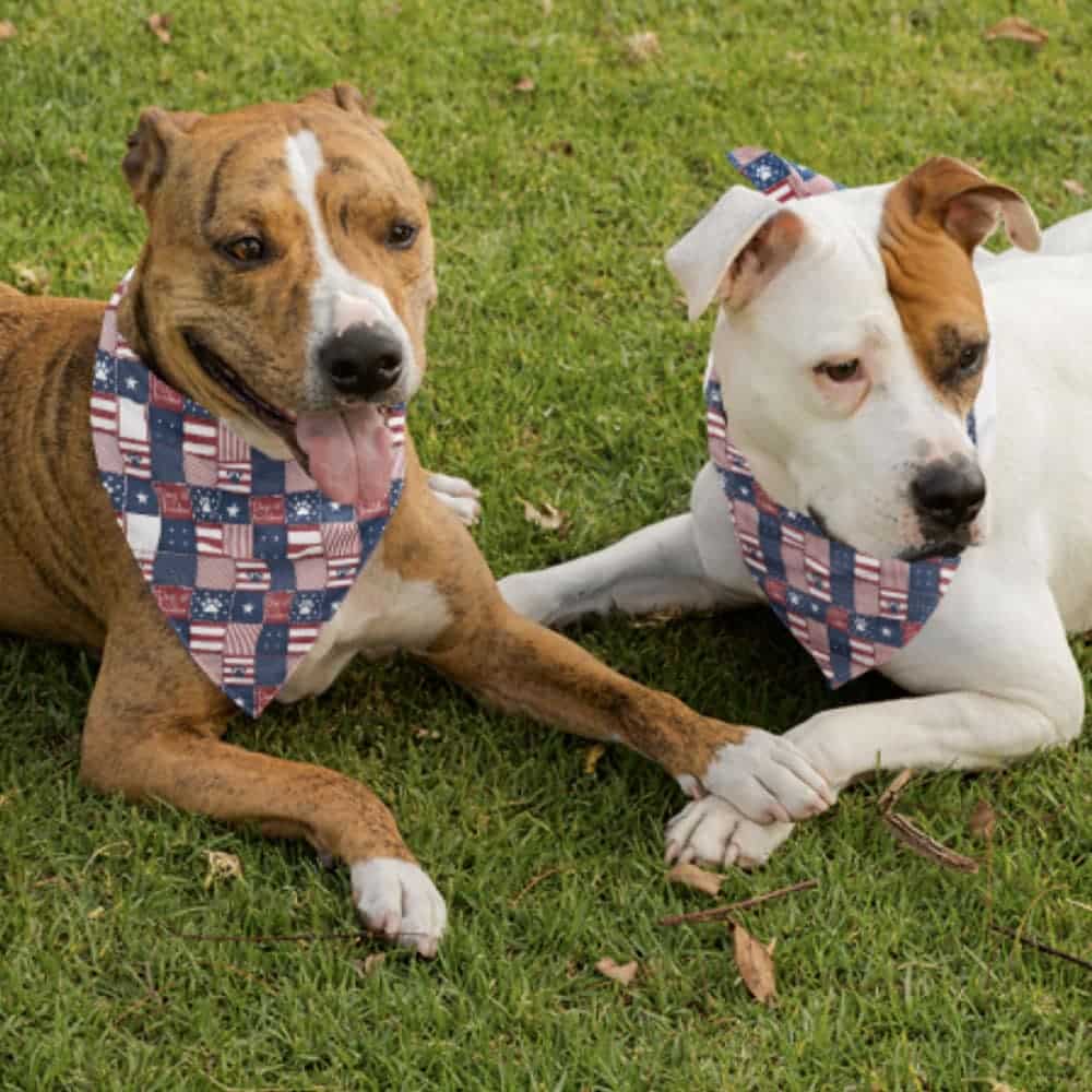 Stars & Stripes Patriotic Dog Bandana