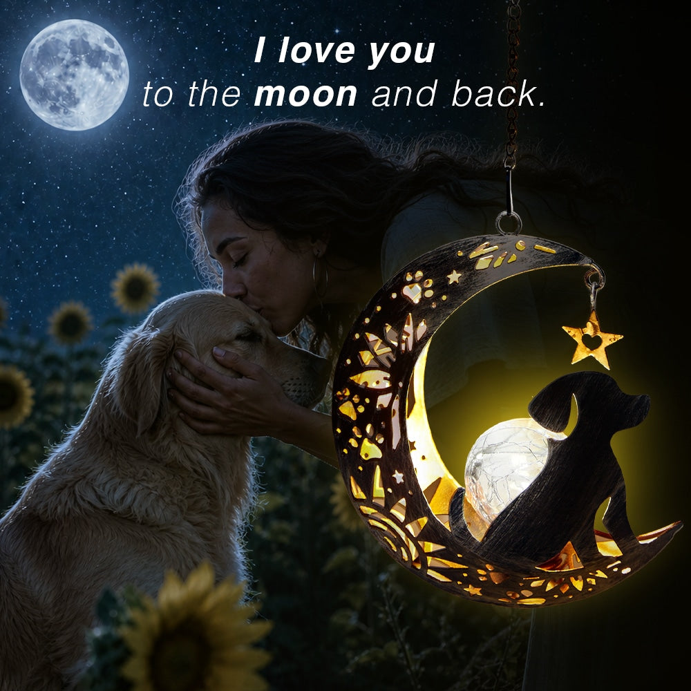 I Love You to the Moon & Back Garden Solar Lantern