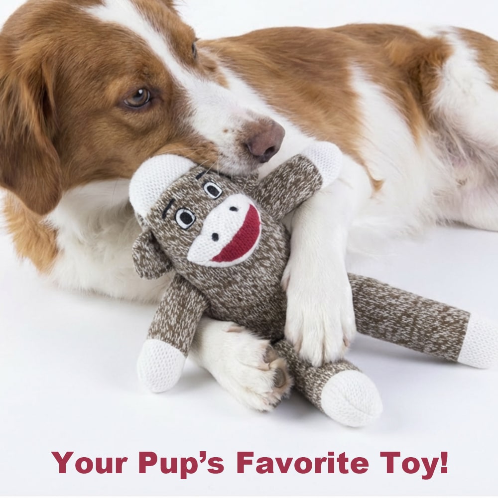 Your Dog's Very Own Sock Monkey