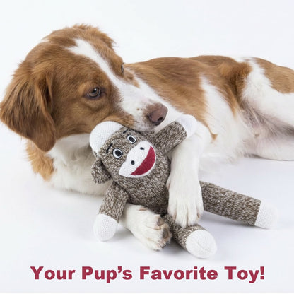 Your Dog's Very Own Sock Monkey
