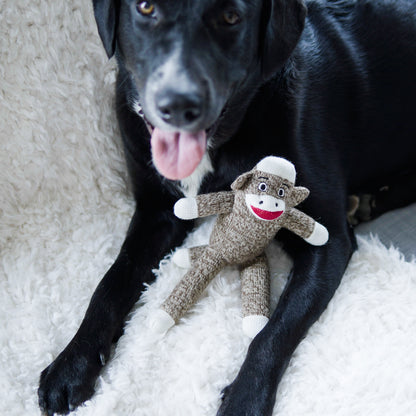 Your Dog's Very Own Sock Monkey