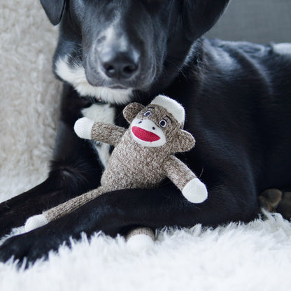 Your Dog's Very Own Sock Monkey