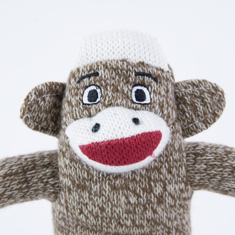 Your Dog's Very Own Sock Monkey