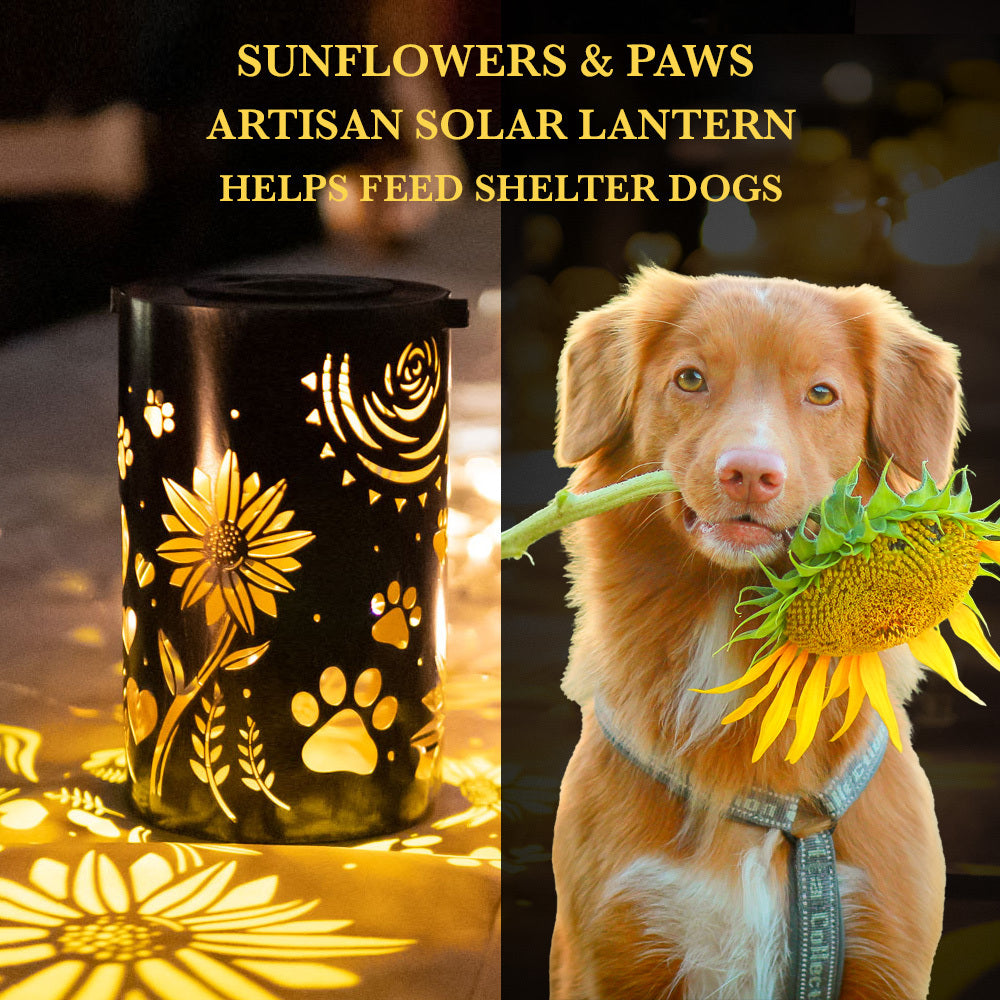 Pathway to My Heart Artisan Shadow Solar Lantern